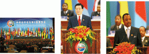 06年中国十大公关事件之中非合作论坛北京峰会