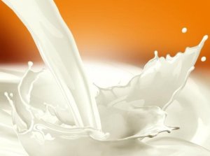 伊利奶粉：中青年不可忽视钙的补充