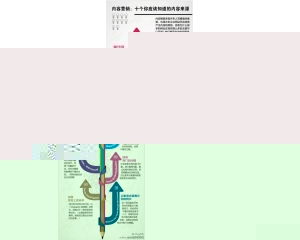 汽车市场中的内容营销