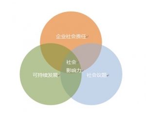 李蕾：跨国科技企业在华新使命