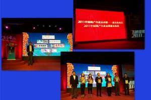 太立德仁荣膺2011中国地产年度金牌服务机构