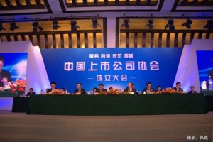 蓝色光标当选中国上市公司协会常务理事单位