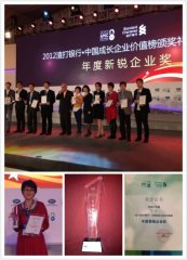 恒瑞行传播斩获2012年度新锐企业大奖